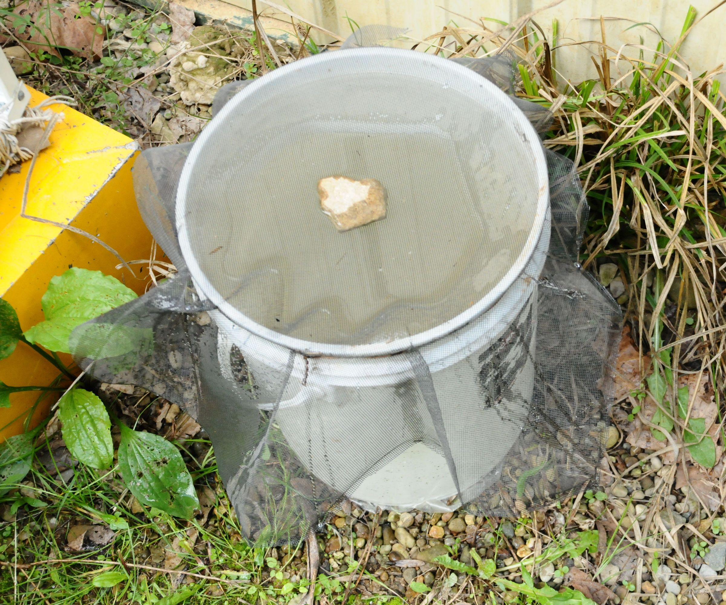 Mosquito Trap (mosquito Abortion Clinic or Source Trap)