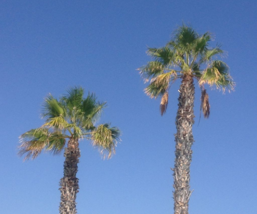 How to Holistically Improve Your Happiness, Health and Wellbeing