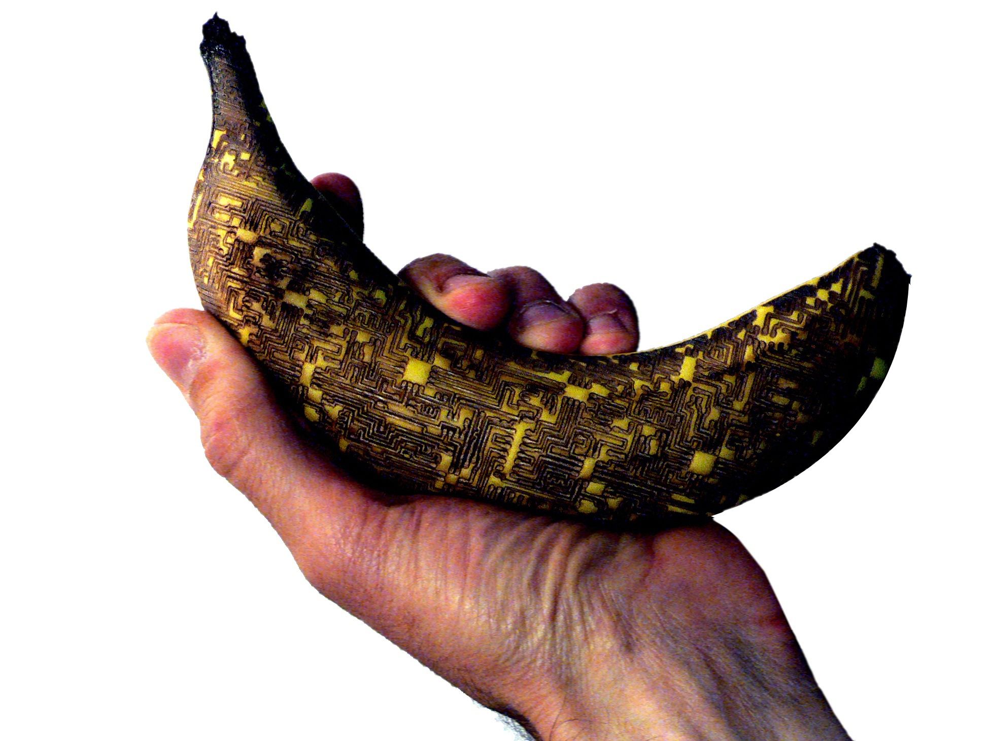 Laser Etched Banana: the Chipest Banana of the Web!