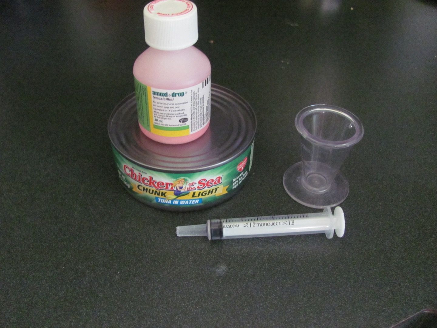 How to Give a Cat Liquid Medicine (with Pictures) Instructables