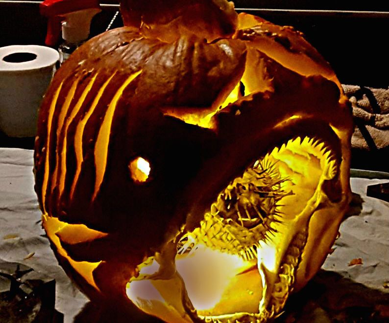 SHARKIN Carving
