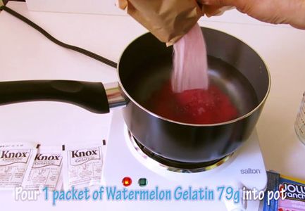 Step 3: Make Gummy Liquid 