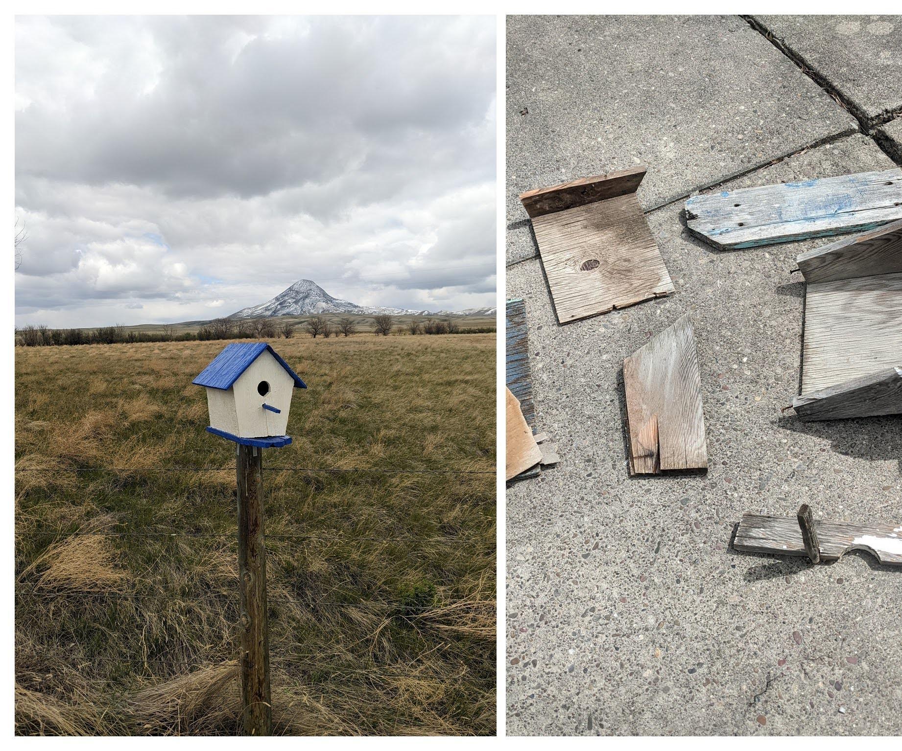 Restoring Grandpa's Bird House
