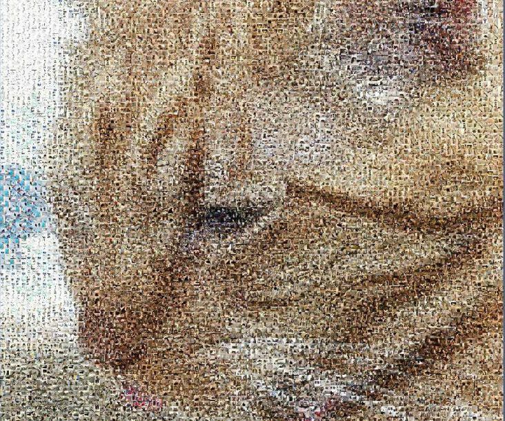 Turning an Image Into a Collage of Cat Pictures