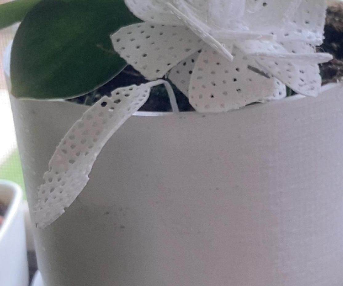 3D Printed Terrarium and Generative Flowers