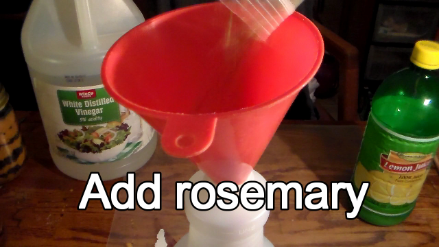 Homemade cat repellent deals