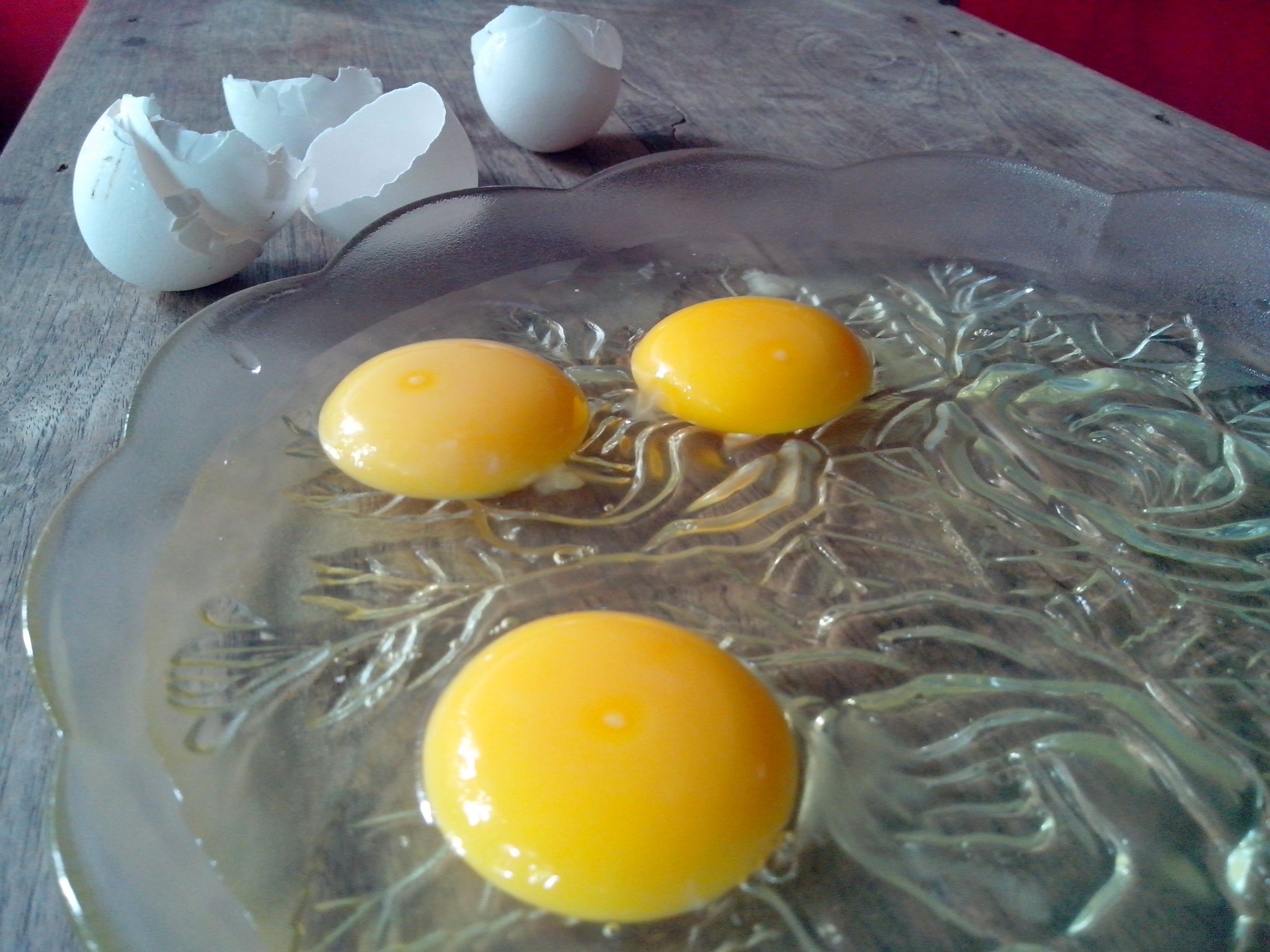 Are Cooked Egg Whites Good For Dogs