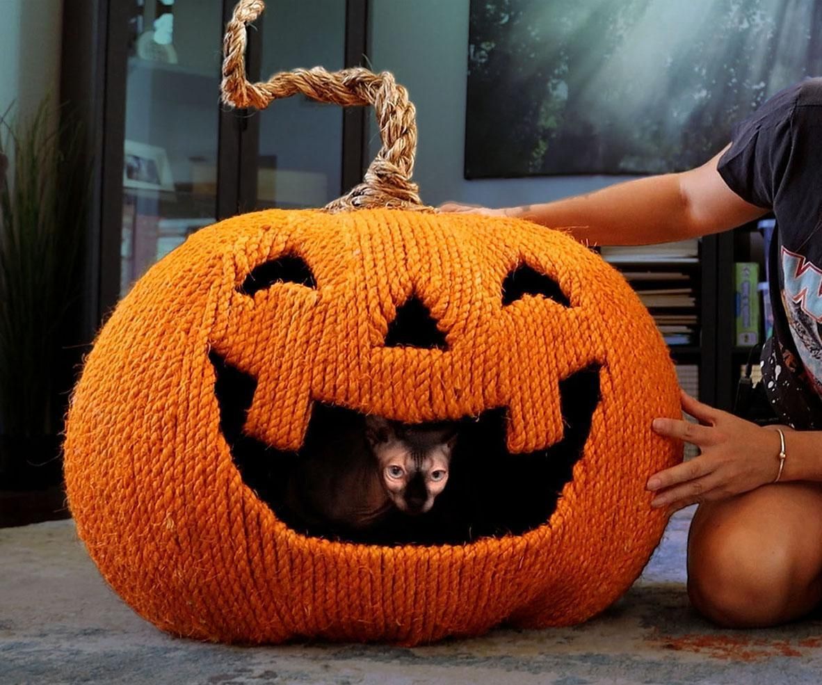 DIY Halloween Cat House