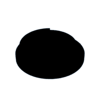 download {{ file.name }}