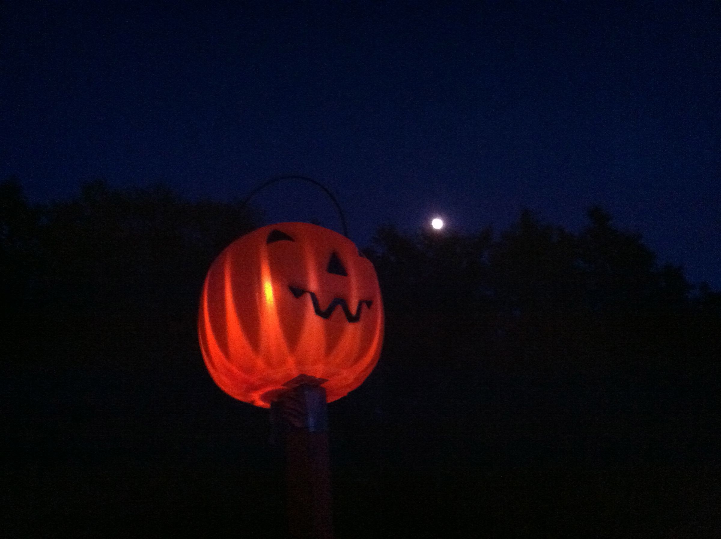 Solar Pumpkin Stakes