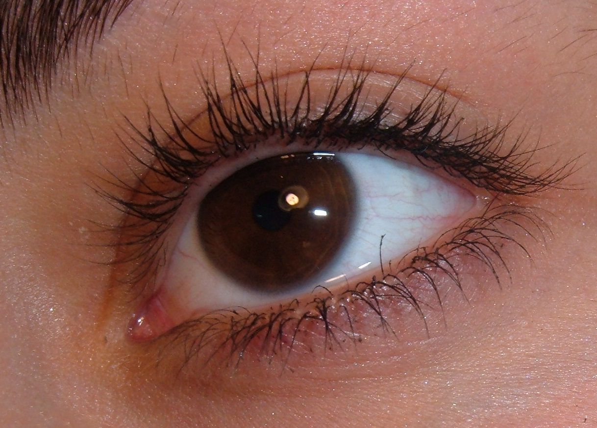 HOW TO MAKE YOUR OWN MASCARA!