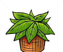 Water Level in the Plants