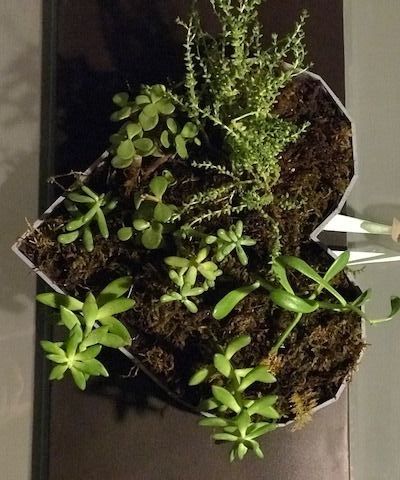 Heart-shaped Vertical Garden