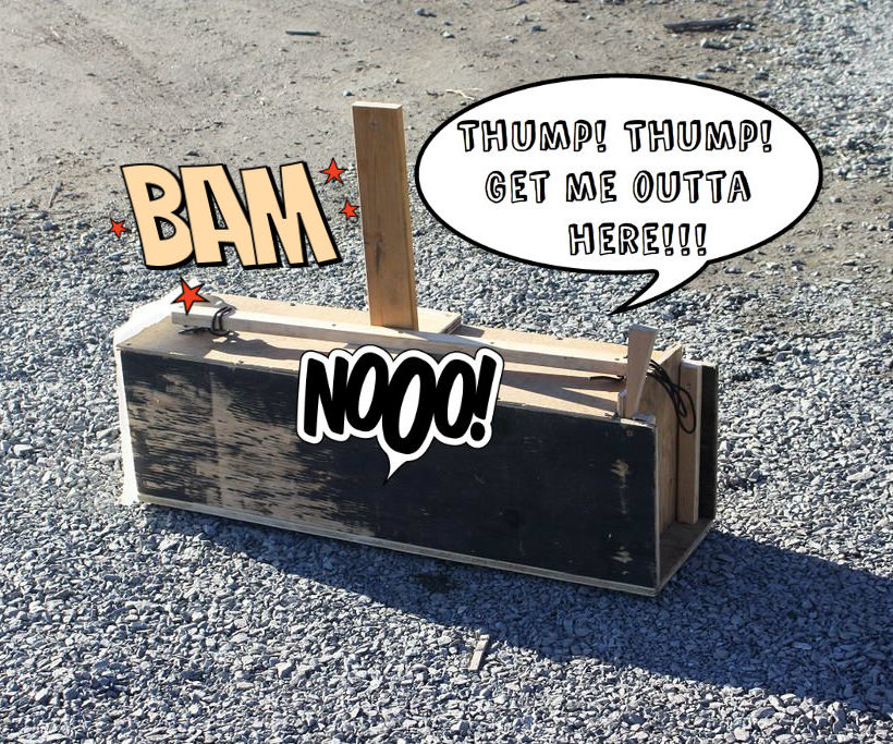 DIY Automatic Trap for Squirrels/ Rats/ Rabbits!