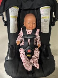 Buckle the Bottom Buckle