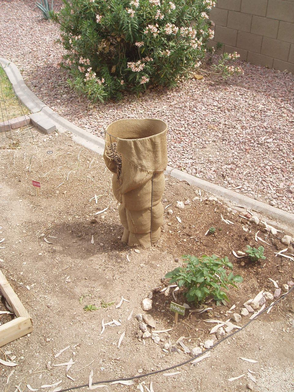 Space saving/Vertical Gardening project