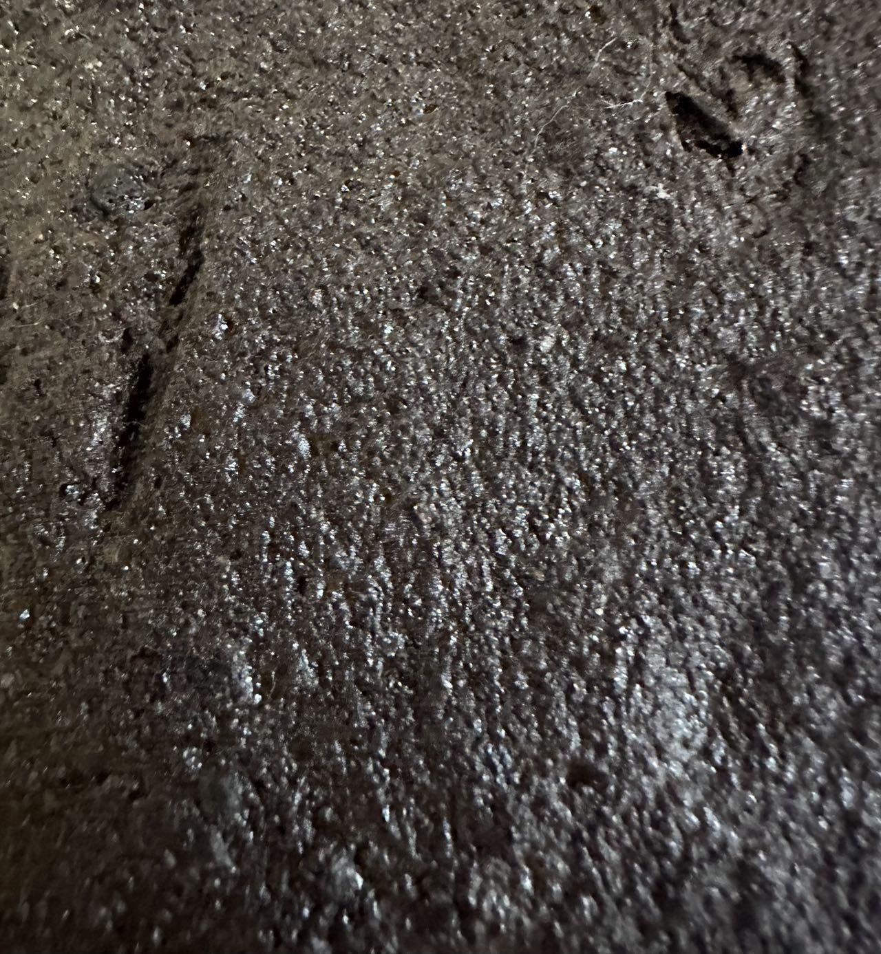 BIOPLASTICHE DEGRADABILI