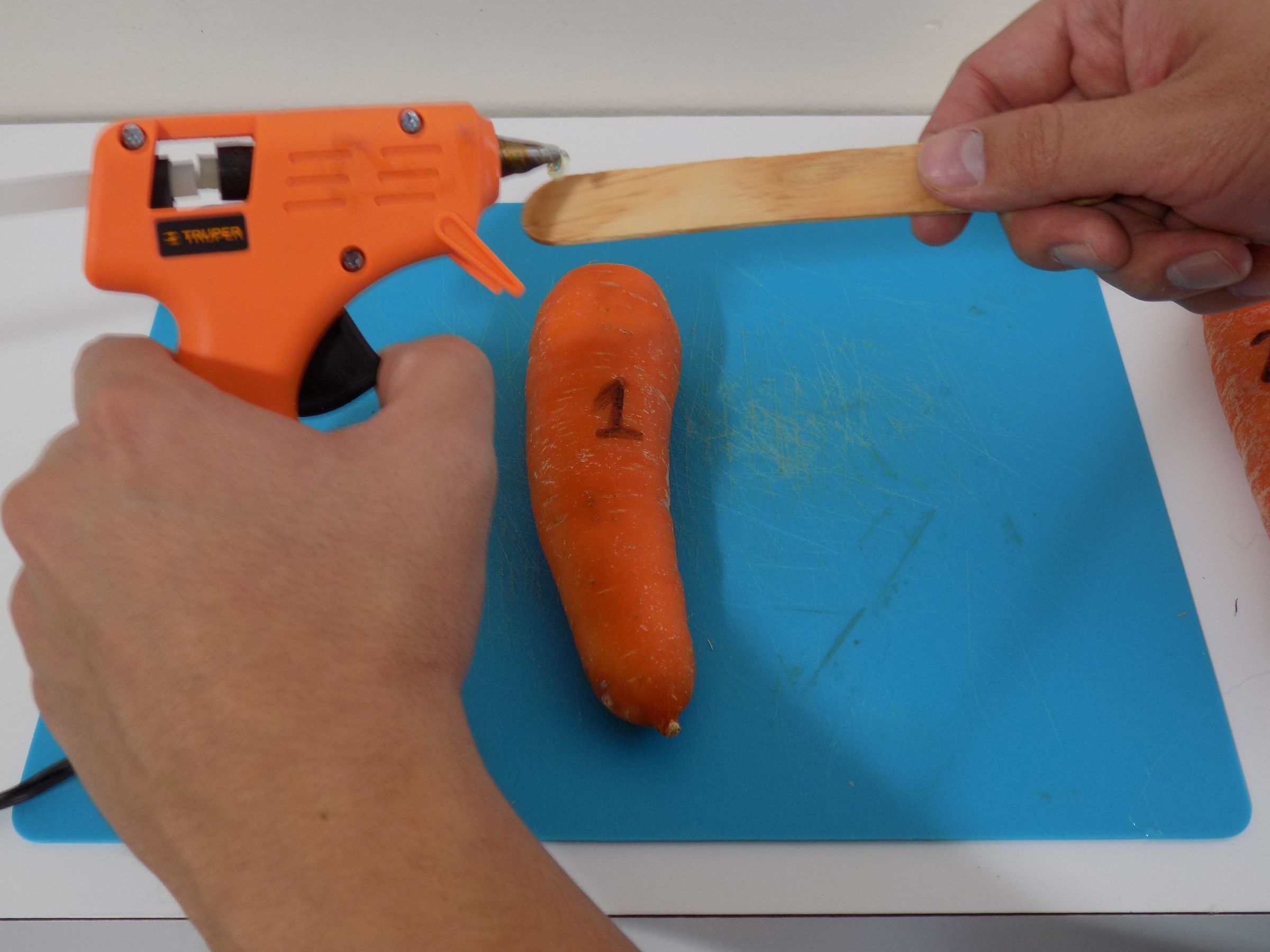 Carrot Pan Flute 4 Steps (with Pictures) Instructables