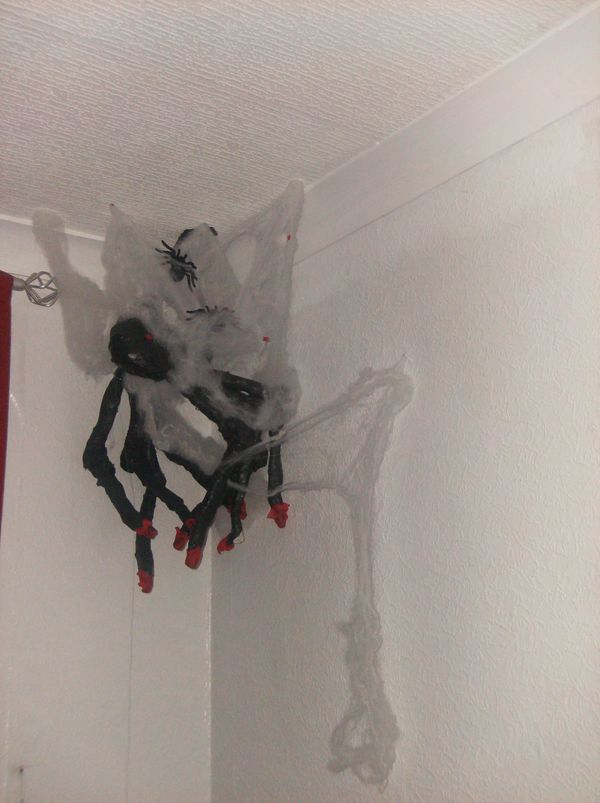 Sedrick the Spider With Movable Joints, Cheap,easy and Child Friendly!!