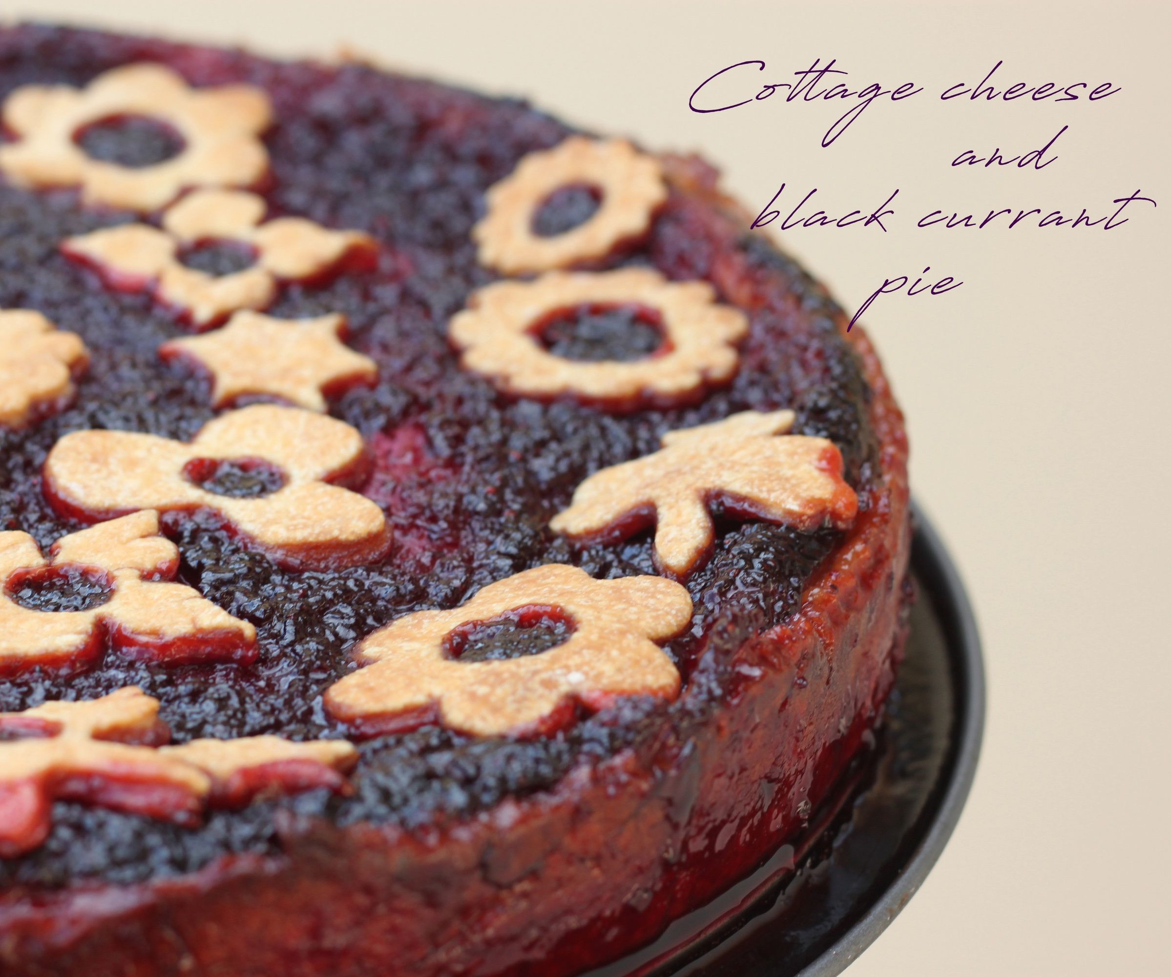 Cottage Cheese and Black Currant Pie
