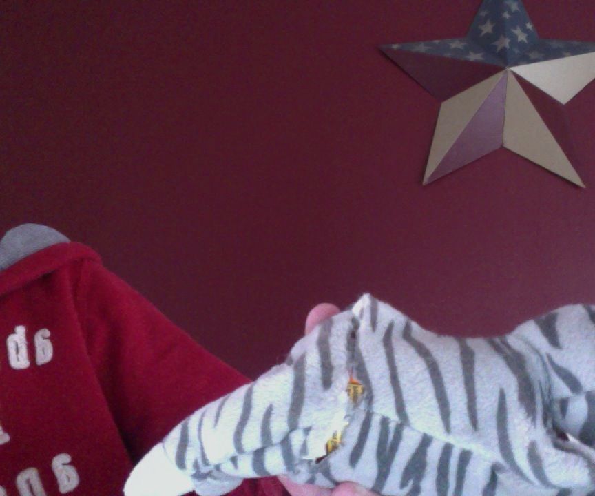 Dog Toy for the Perfect Pup.