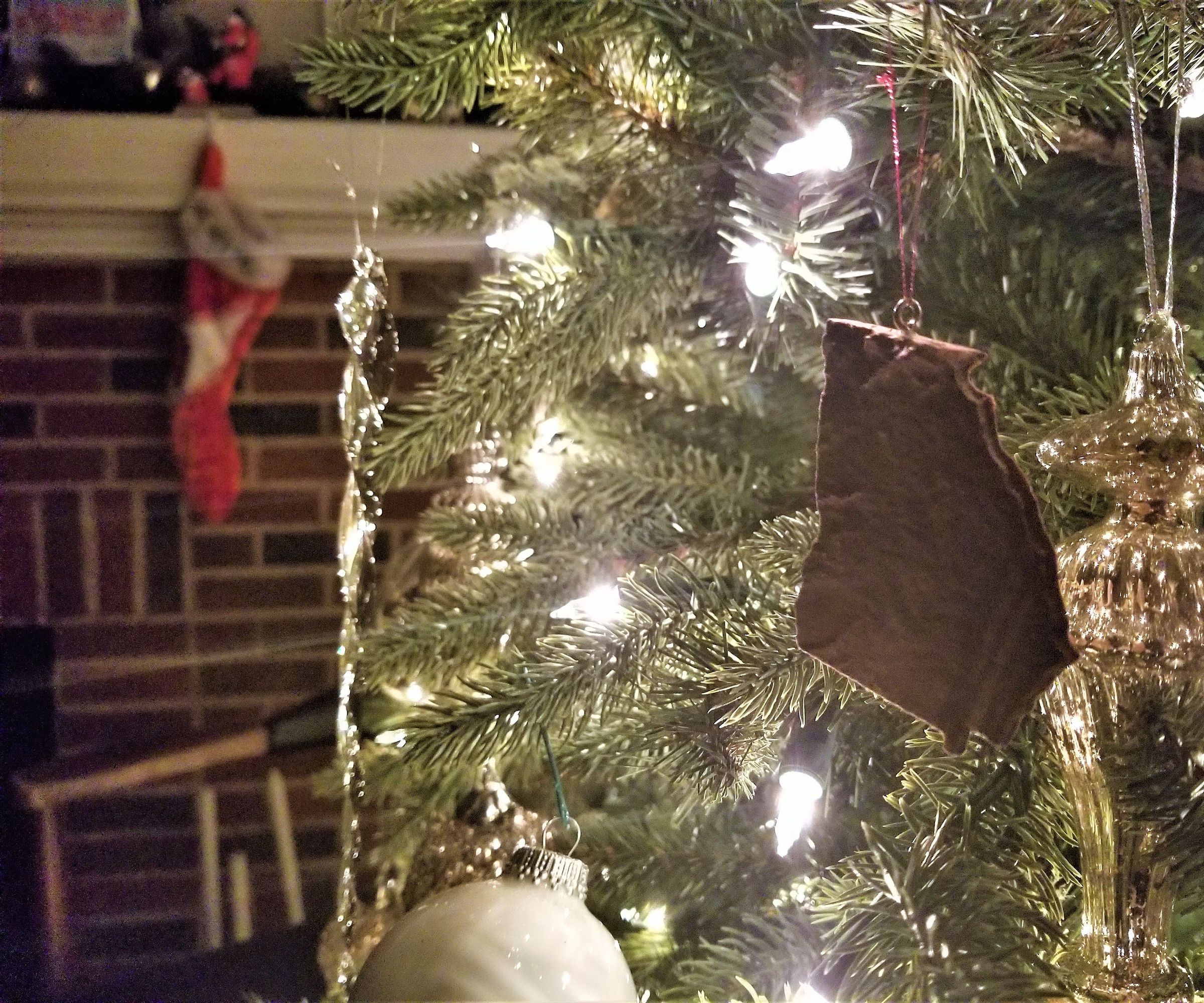 SMOL State Ornament