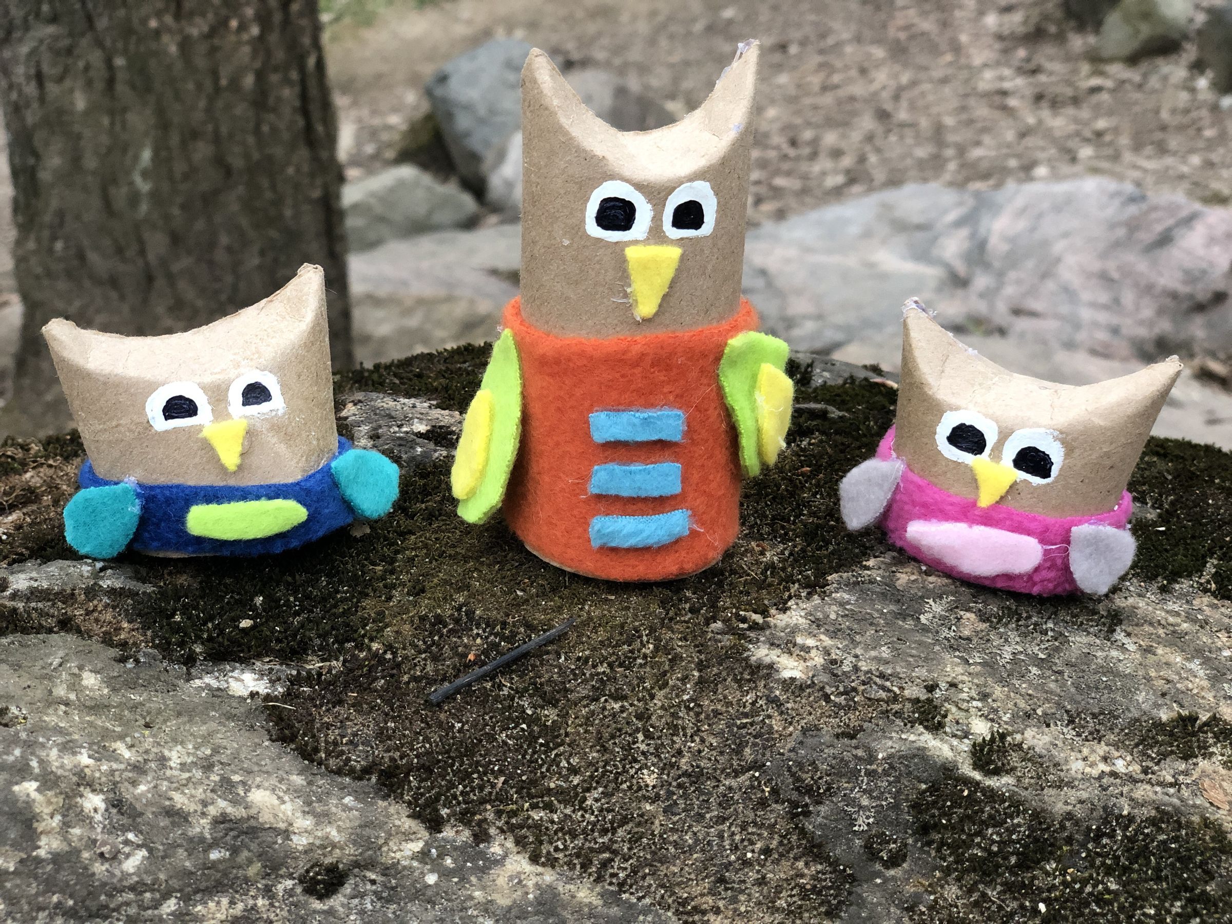 Recycled Cardboard Tube Owls 9 Steps (with Pictures) Instructables