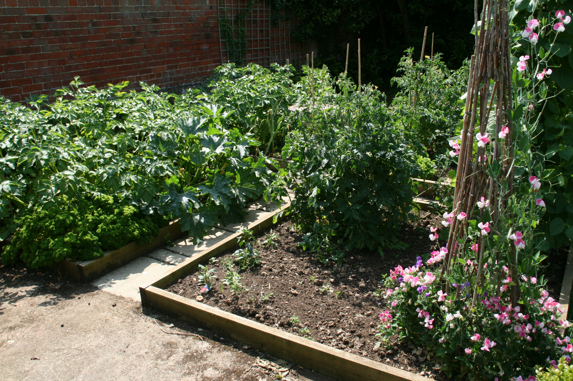 Vegetable Patch