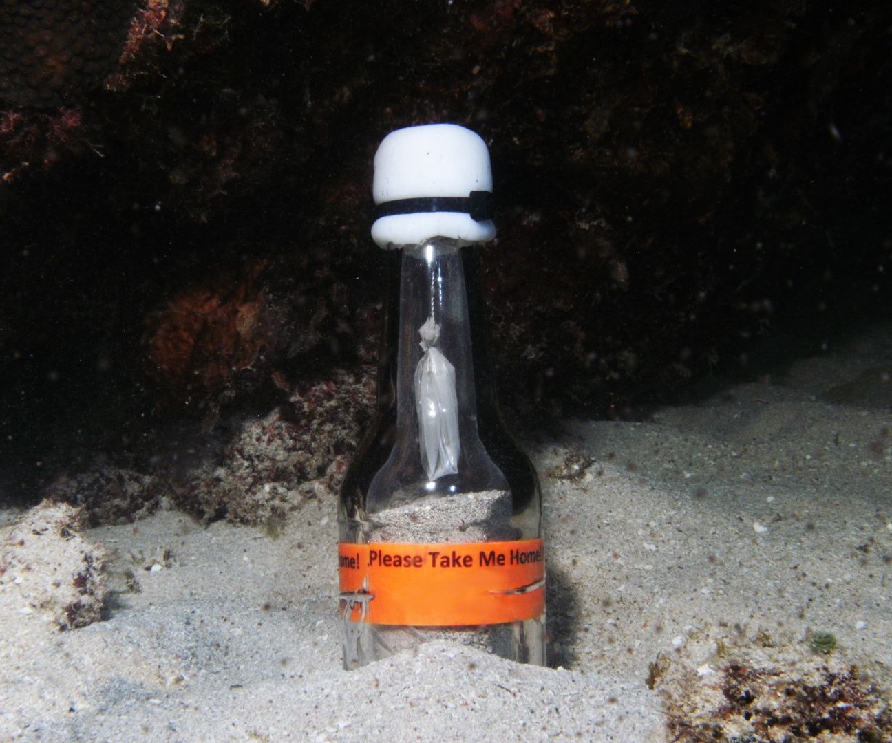 Digital Message in a Bottle