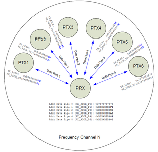 The Meat - May Be Tough and Dry