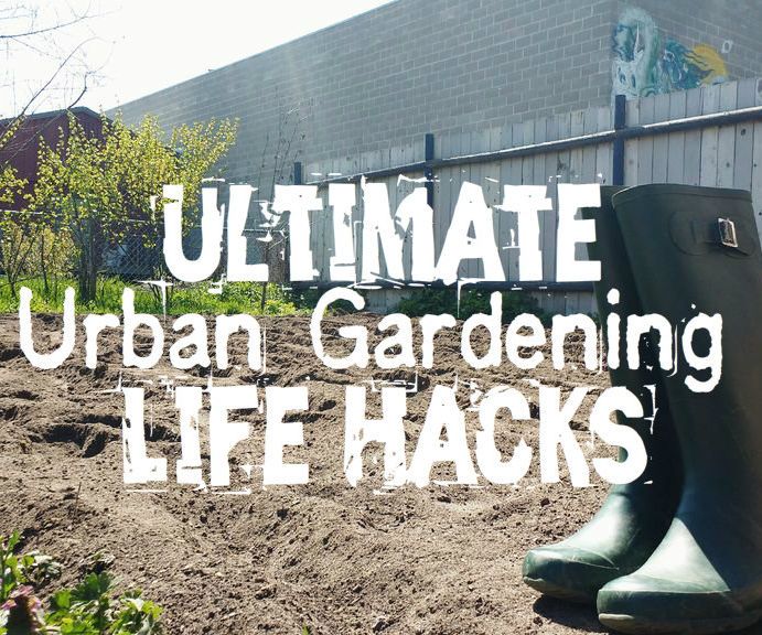 40+ Hacks for YOU (the Urban Gardener)