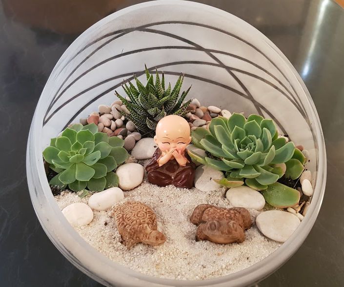 Glass Succulent Planter