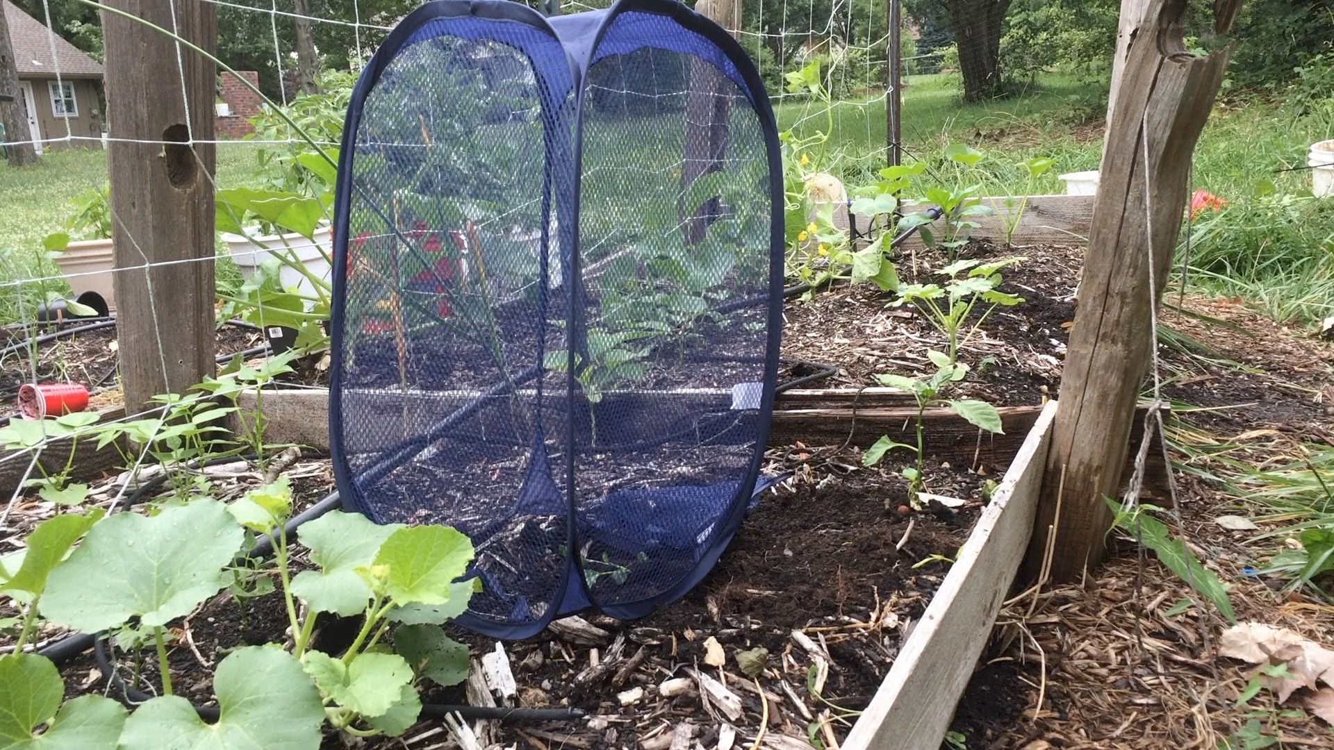 3 Ways to Use a Pop Up Hamper in the Garden 3 Steps (with Pictures