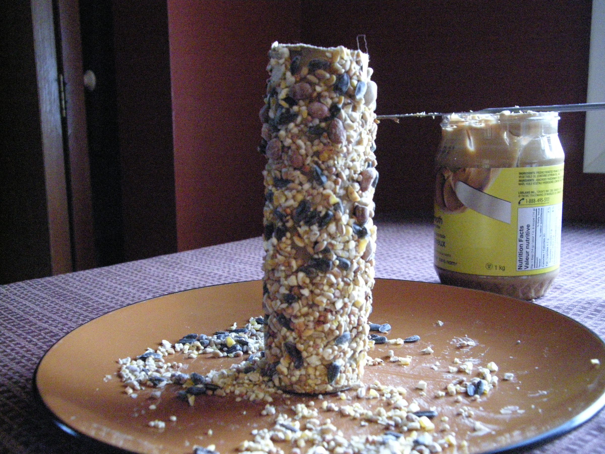 Peanut Butter Bird Feeder 3 Steps (with Pictures) Instructables