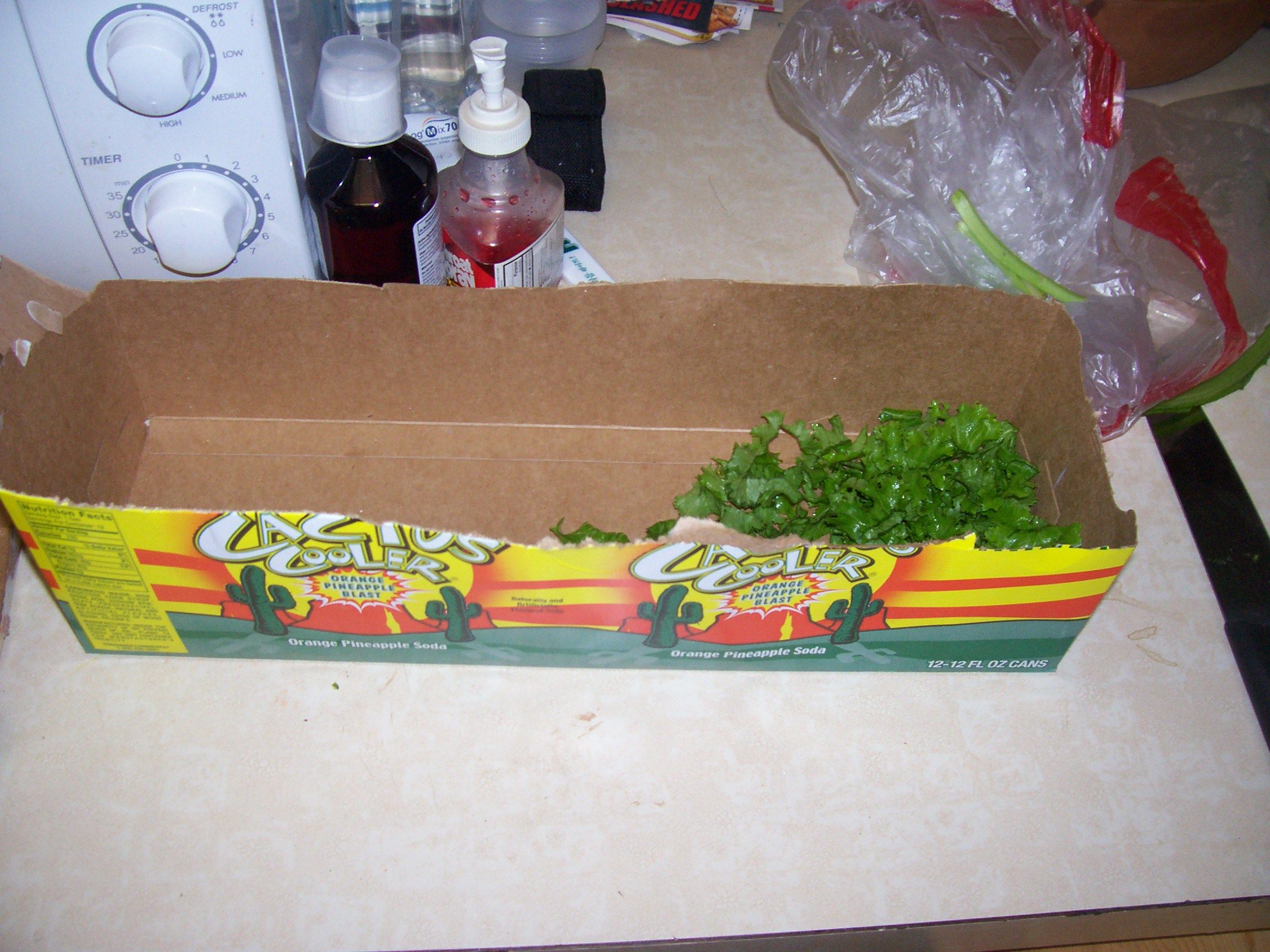 How to Make Salad for Bearded Dragons 6 Steps (with Pictures