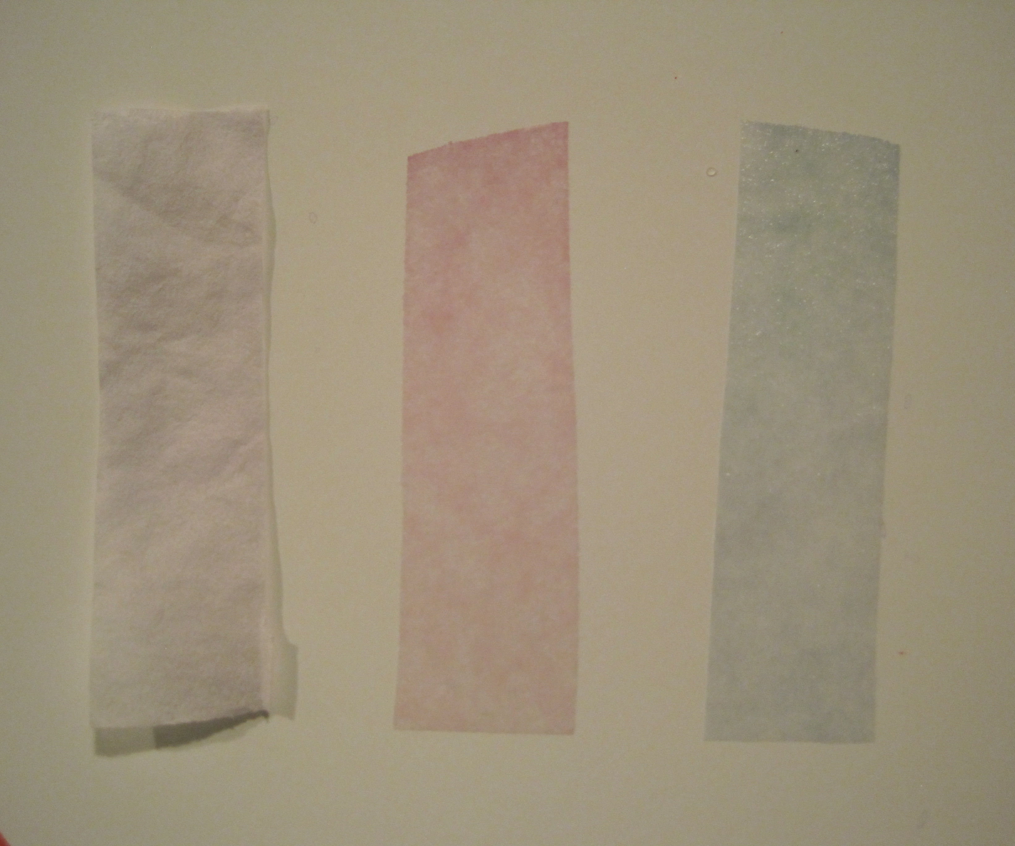 Red Cabbage PH Indicator