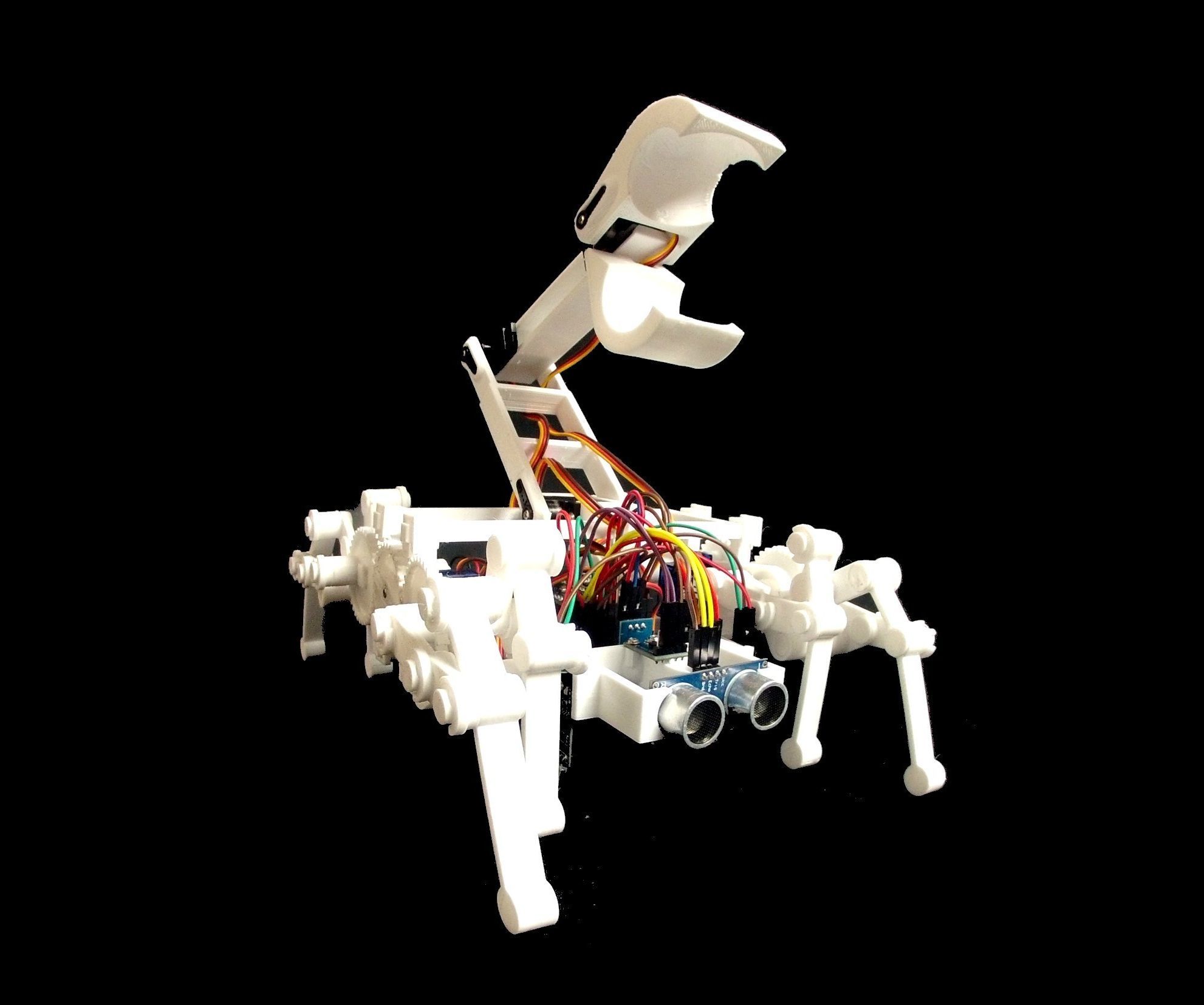 BUGS the Educational Robot