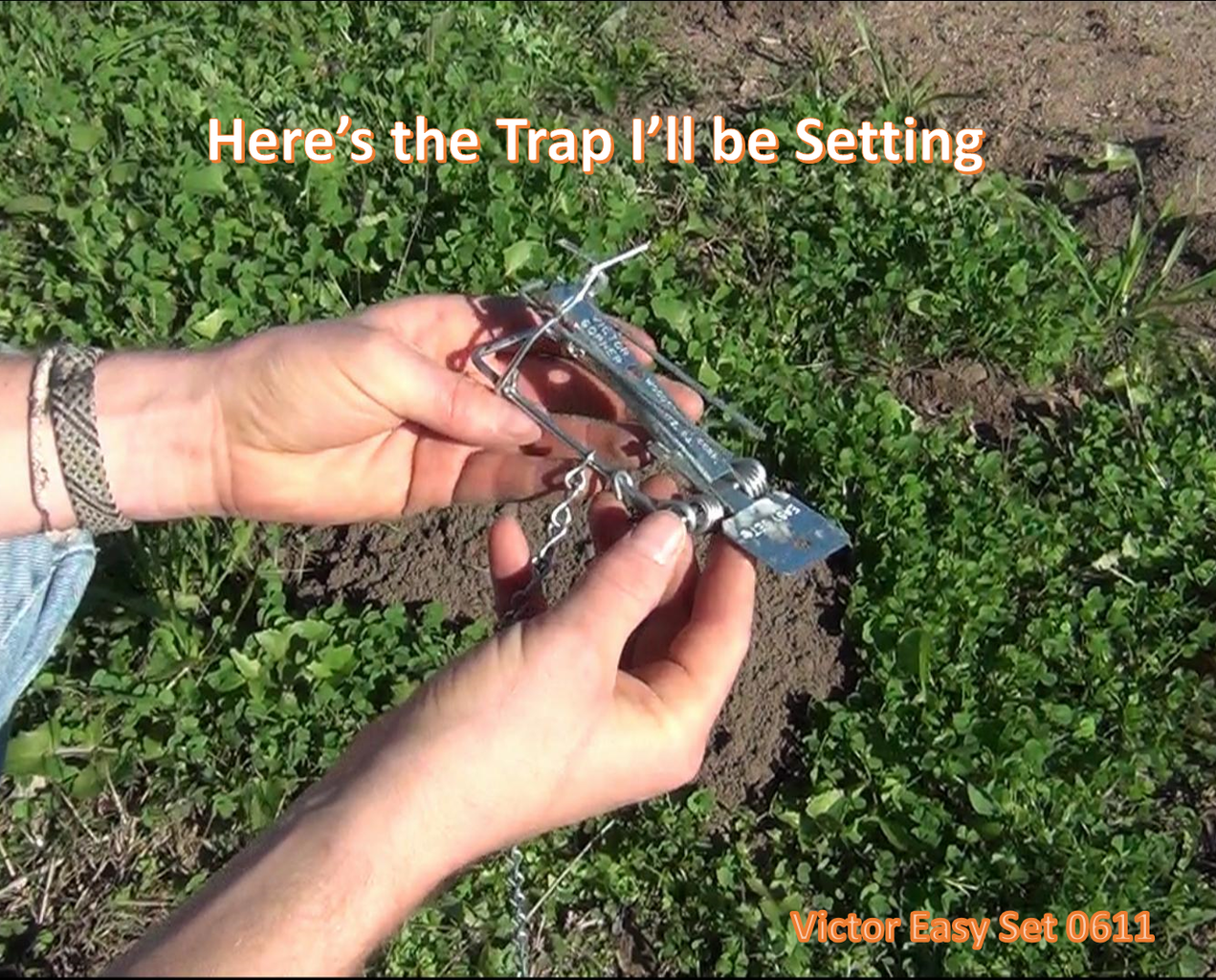 How to Trap Gophers 7 Steps Instructables