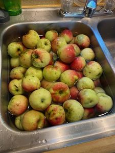 Canning Applesauce