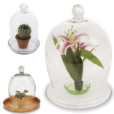 The Best Gardening Supplies for Your Garden