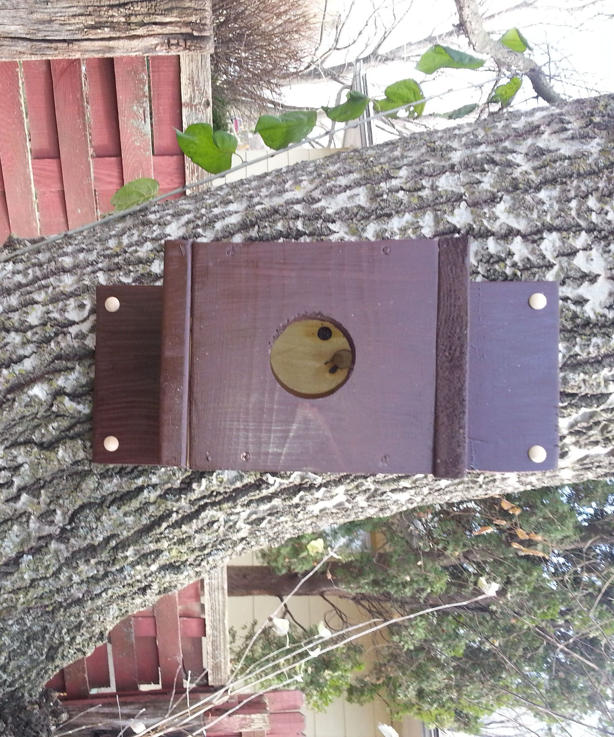 Wood Diy Bird House