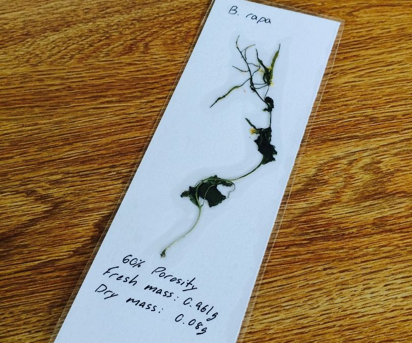 Dorky Botanist Bookmark