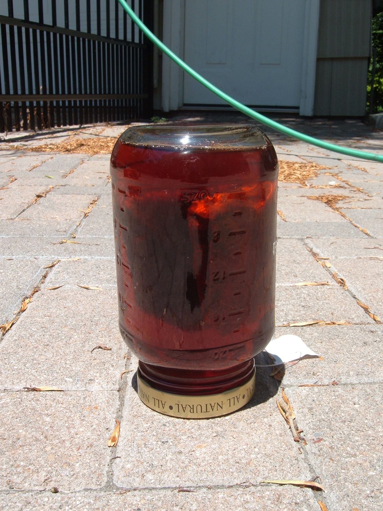 Sun Tea Concentrate