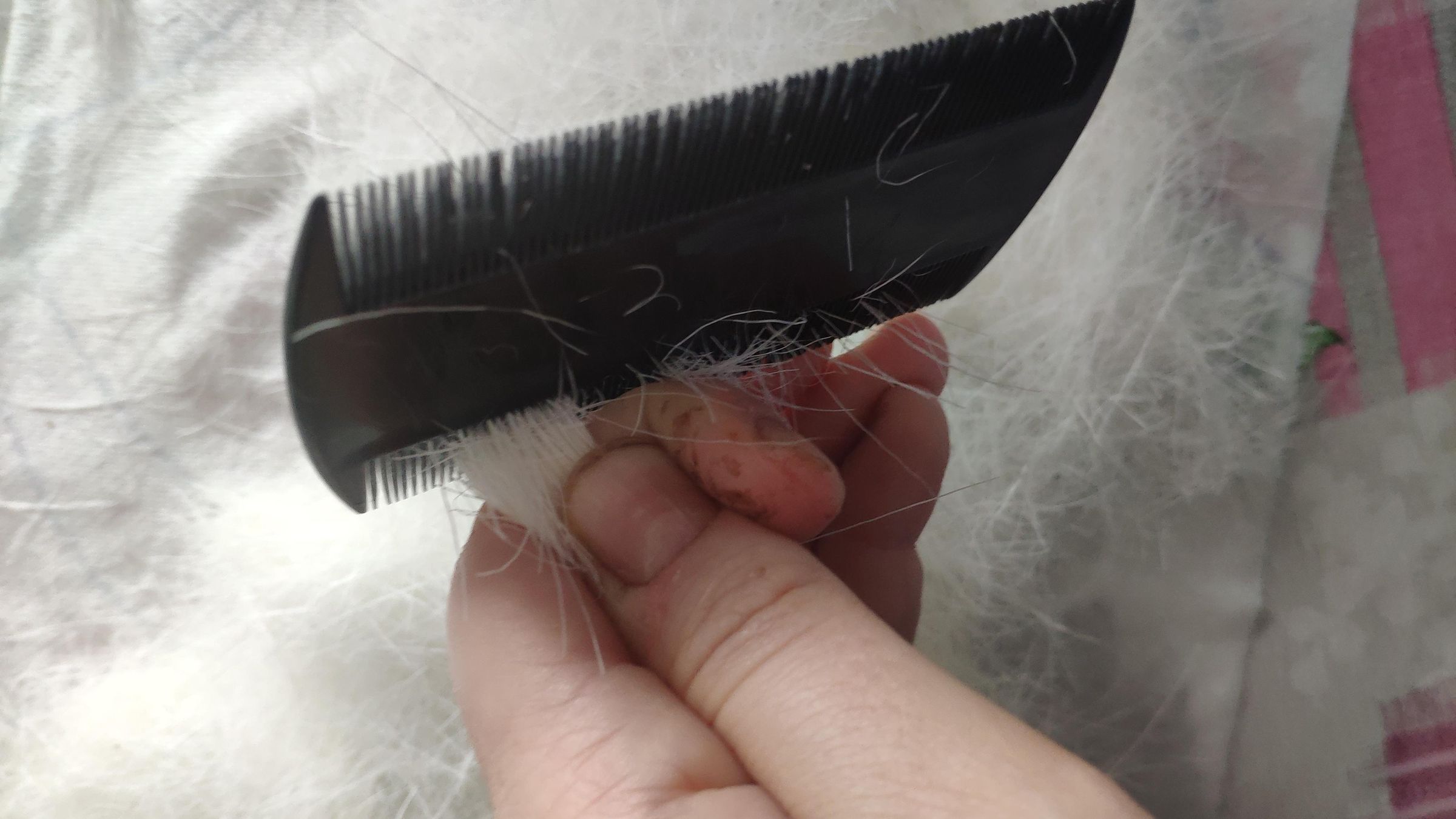 Goat Hair Brush 12 Steps (with Pictures) Instructables
