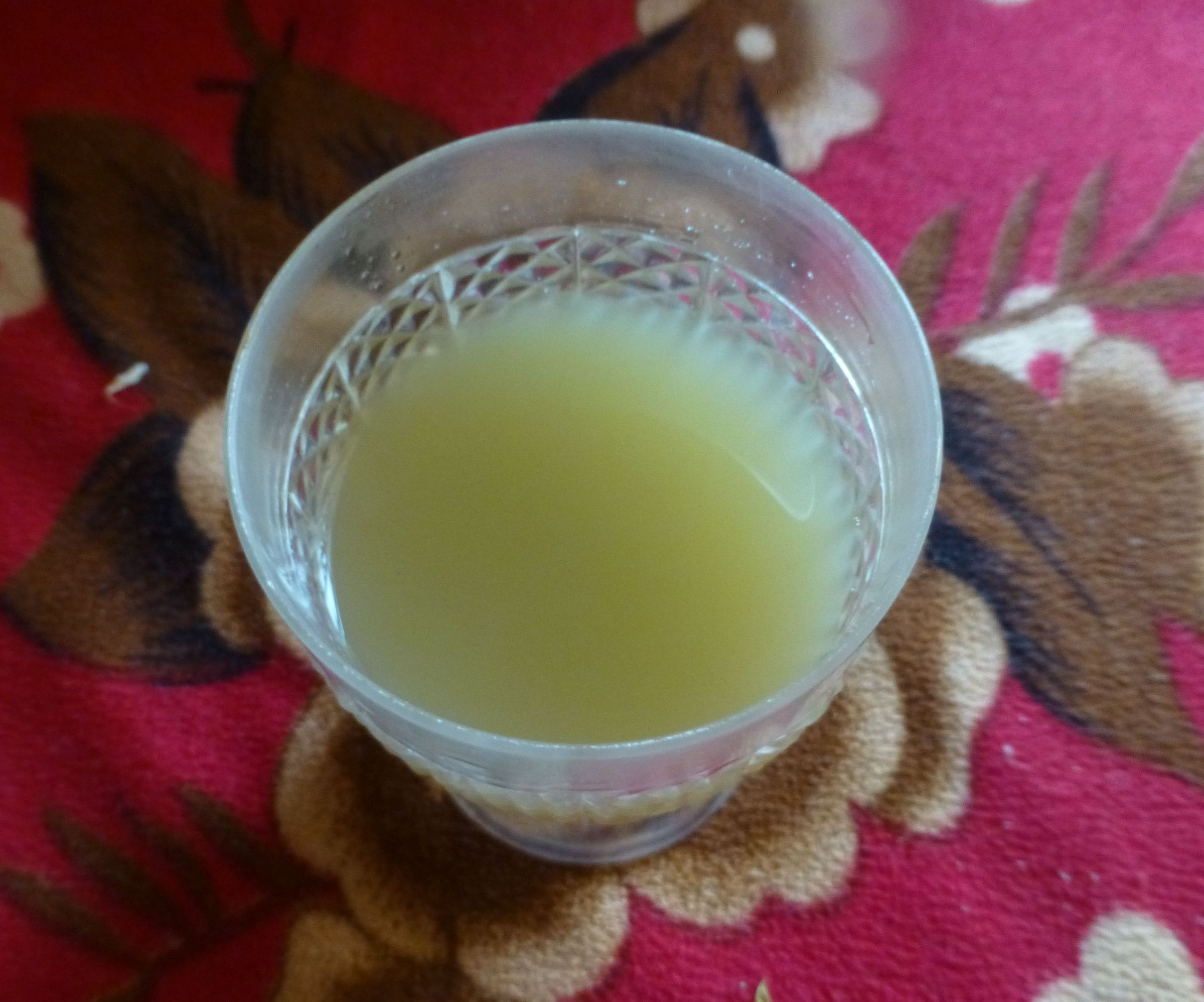 Gymnema Leaf Extract to Control Diabetes Mellitus