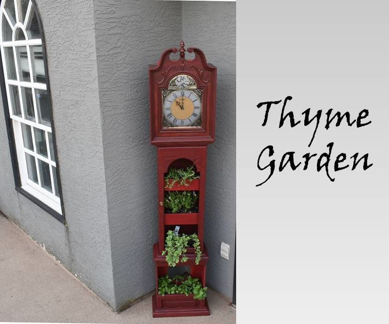 Thyme Garden