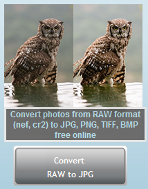 RAW Converter: a Free Software to Convert RAW to JPG