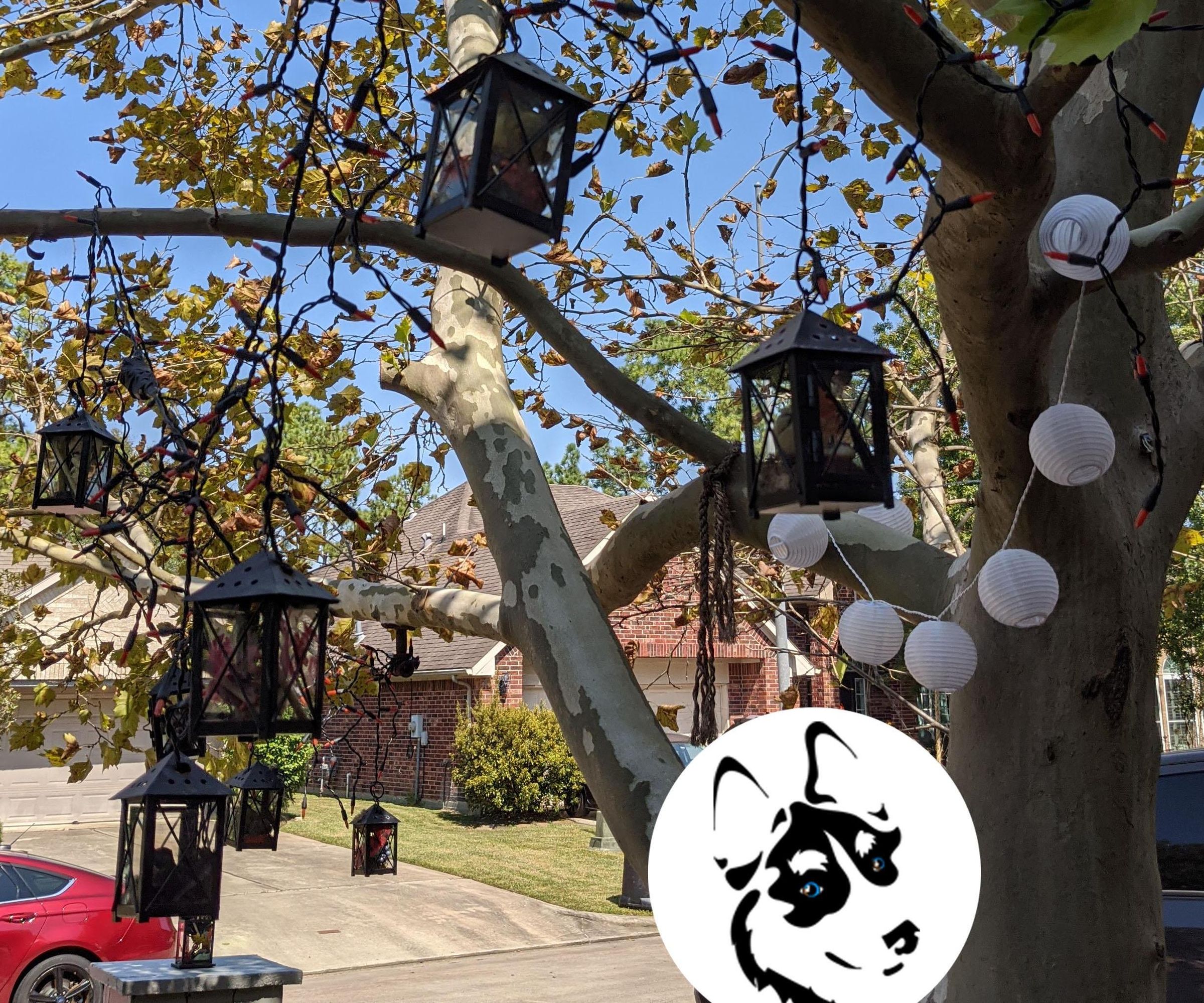Halloween Lantern Lights Decor