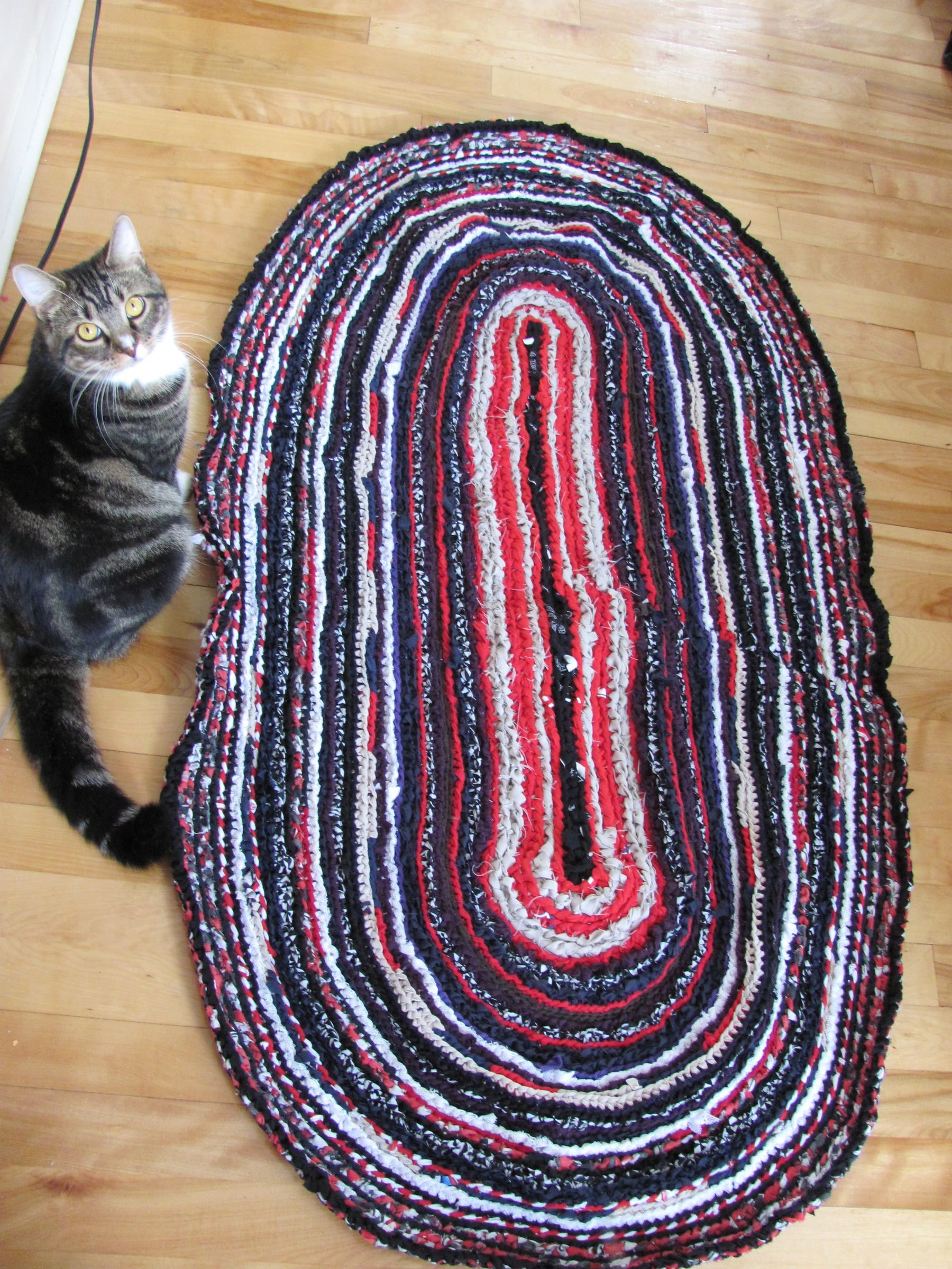 Oval Rag Rug (made With a Big Crochet)
