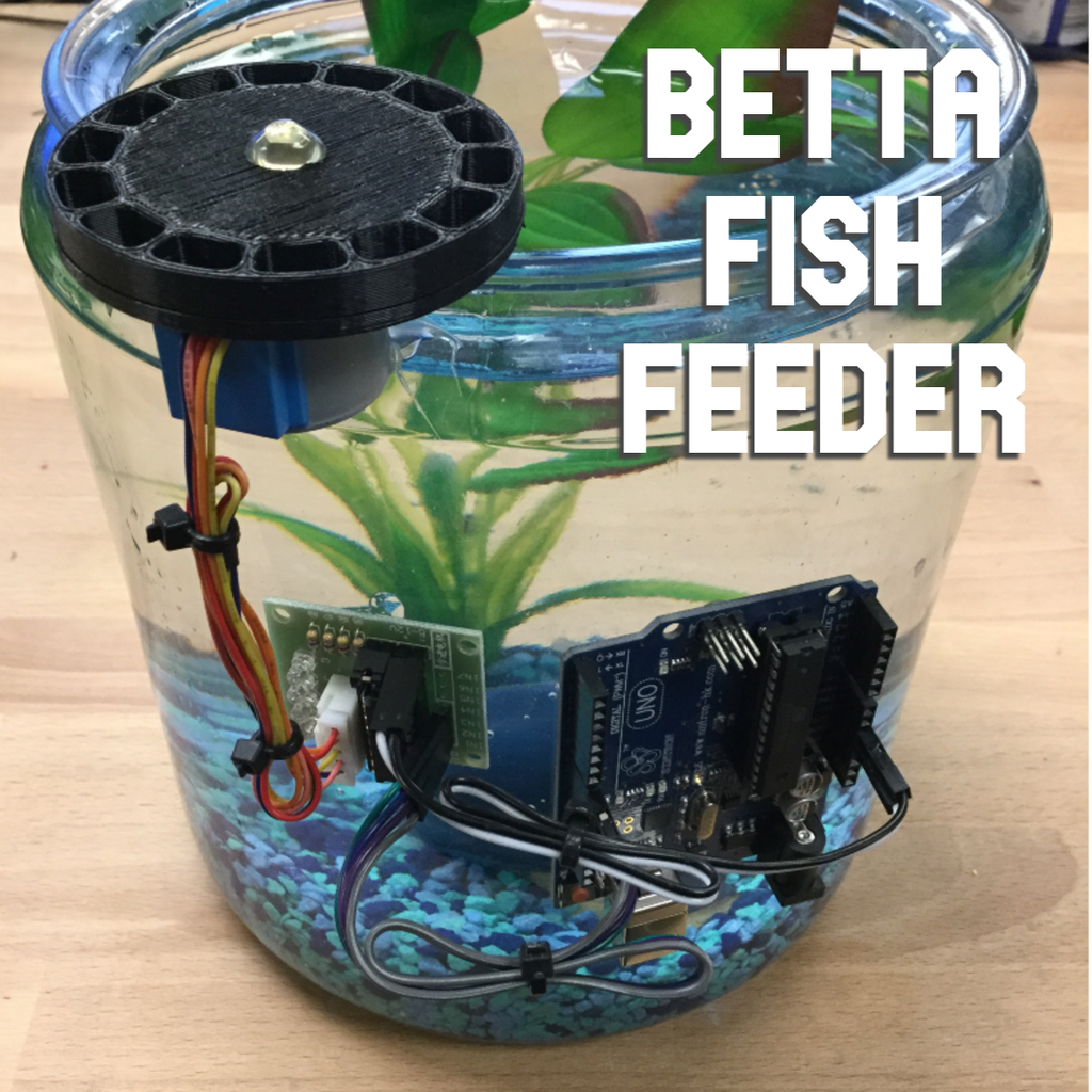 Betta Fish Feeder 6 Steps with Pictures Instructables